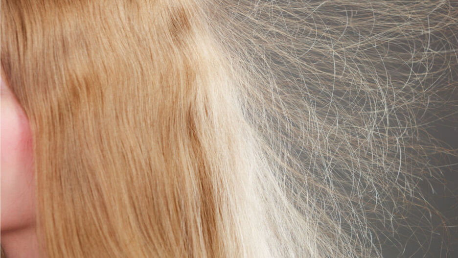 Detailaufnahme von aufgeladenen Haaren.